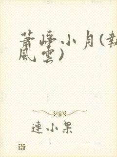 萧峥小月(执掌风云)