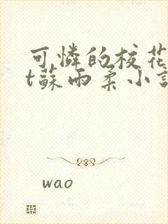 可怜的校花txt苏雨柔小说阅读全文封面