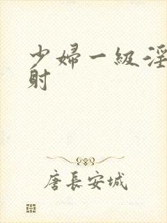 少妇一级淫片内射