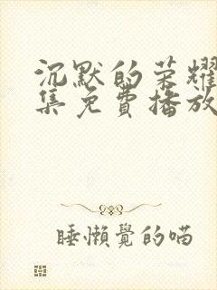 沉默的荣耀30集免费播放在线观看