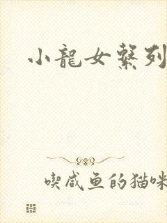 小龙女系列小说