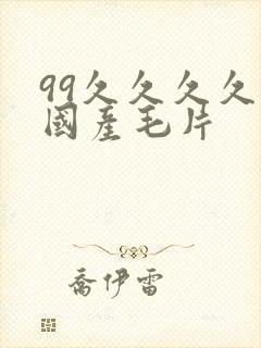 99久久久久久国产毛片封面