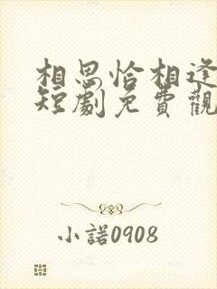 相思恰相逢沈欣短剧免费观看
