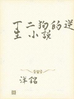 丁二狗的逆袭人生 小说封面