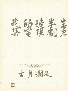 我的后半生42集电视剧免费观看