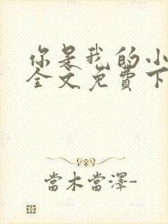 你是我的小确幸全文免费下载