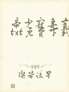 帝少宠妻有点甜txt免费下载