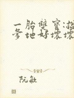 一胎双宝:总裁爹地好坏坏