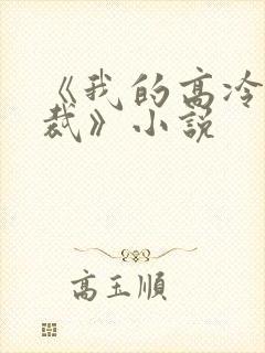 《我的高冷女总裁》小说