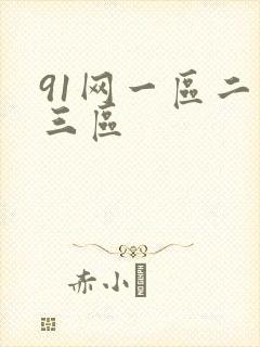 91网一区二区三区