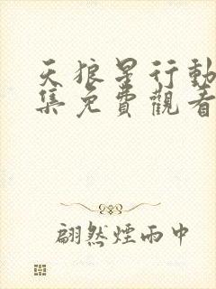 天狼星行动40集免费观看电视剧最新更封面