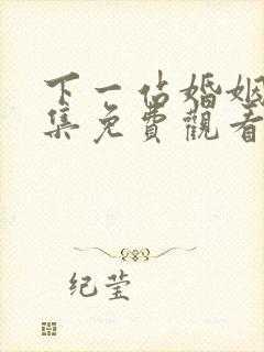 下一站婚姻34集免费观看