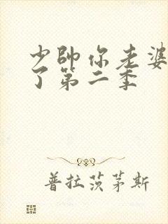 少帅你老婆又跑了第二季