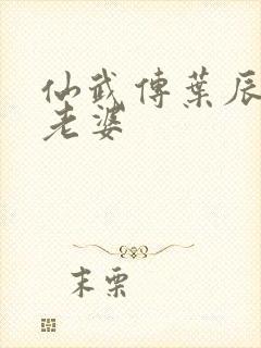 仙武传叶辰几个老婆封面