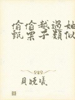 偷偷越过她by甄栗子类似小说封面