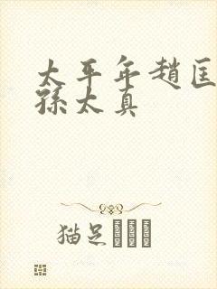 太平年赵匡胤和孙太真封面