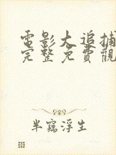 电影大追捕在线完整免费观看国语封面