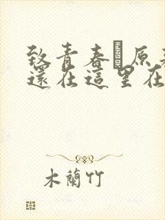 致青春·原来你还在这里在线观看