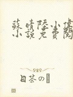 苏晴陆小伟言情小说免费阅读封面