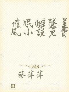 催眠雌坠美人沈风小说免费阅读封面