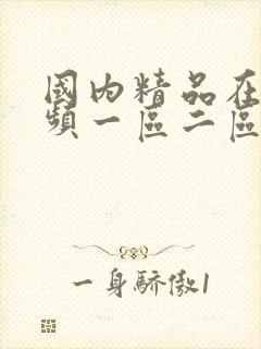 国内精品在线视频一区二区三区