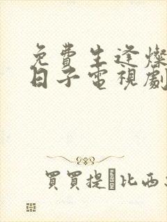 免费生逢灿烂的日子电视剧封面