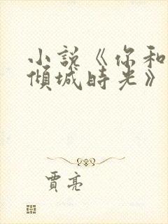 小说《你和我的倾城时光》封面