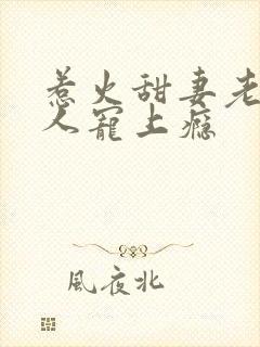 惹火甜妻老公大人宠上瘾