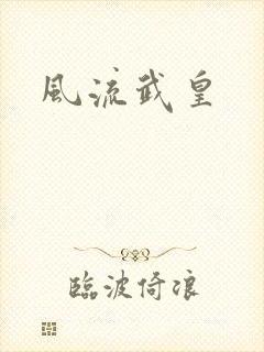 风流武皇