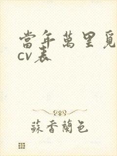 当年万里觅封侯cv表