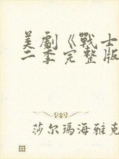 美剧《战士》第二季完整版在线观看