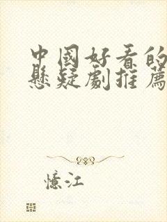 中国好看的破案悬疑剧推荐封面