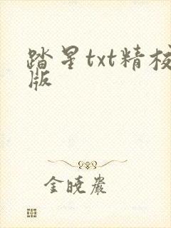 踏星txt精校版
