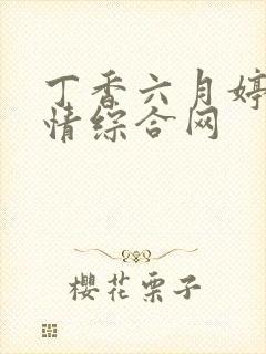 丁香六月婷婷激情综合网