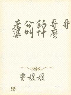 老公的哥哥的老婆叫什么封面