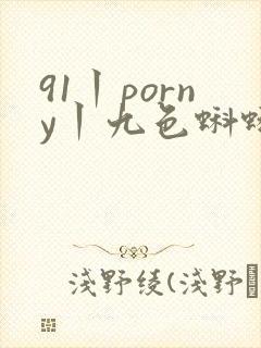91丨porny丨九色蝌蚪