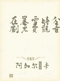 在暴雪时分电视剧免费观看全集封面