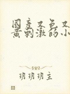 国产又色又爽又黄刺激的小说