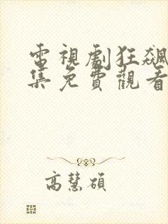 电视剧狂飙40集免费观看