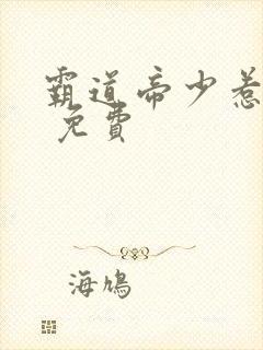 霸道帝少惹不得 免费