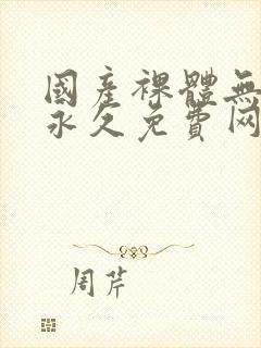 国产裸体无遮挡永久免费网站