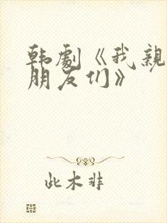 韩剧《我亲爱的朋友们》