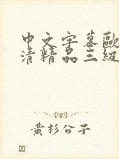 中文字幕欧美高清精品三级封面