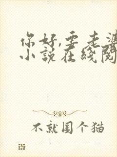 你好,要老婆吗小说在线阅读