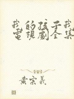 我的孩子我的家电视剧全集完整版封面