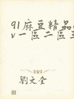 91麻豆精品av一区二区三区在线