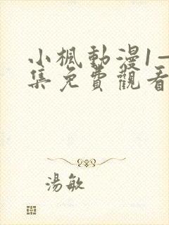 小枫动漫1—4集免费观看