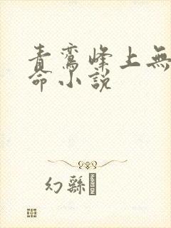 青鸾峰上无敌天命小说封面