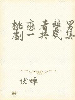 桃恋者双男主泰剧一共几集