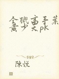 全职高手叶修和黄少天pk封面